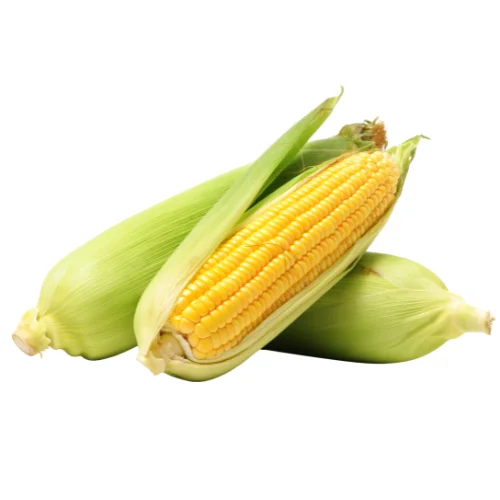 Corn